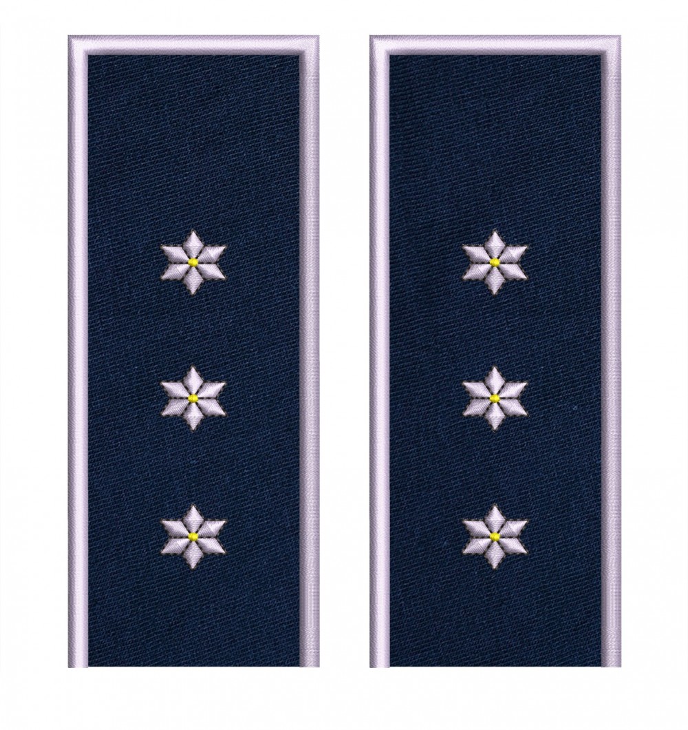 GRADE INSPECTOR PRINCIPAL POLITIE IGPR